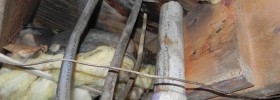 Mold Removal and Remediation