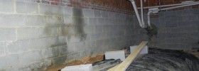 Indoor Air Quality